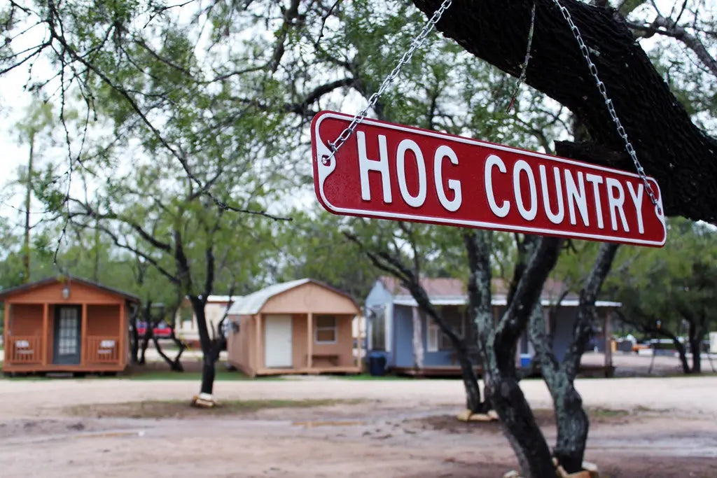 Why Do Texas Wild Hogs Create Thrilling Outdoor Hunting Experiences?