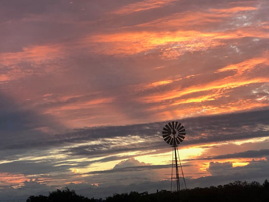 How Can Rains Influence Your Hog Hunting Experience?
