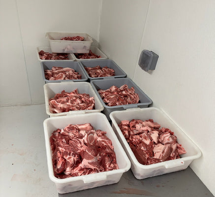 What Food Should You Pack for Your Next Hunting Trip?