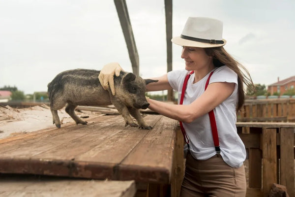 Family-Friendly Hog Hunting in Texas: Everything Parents Should Consider