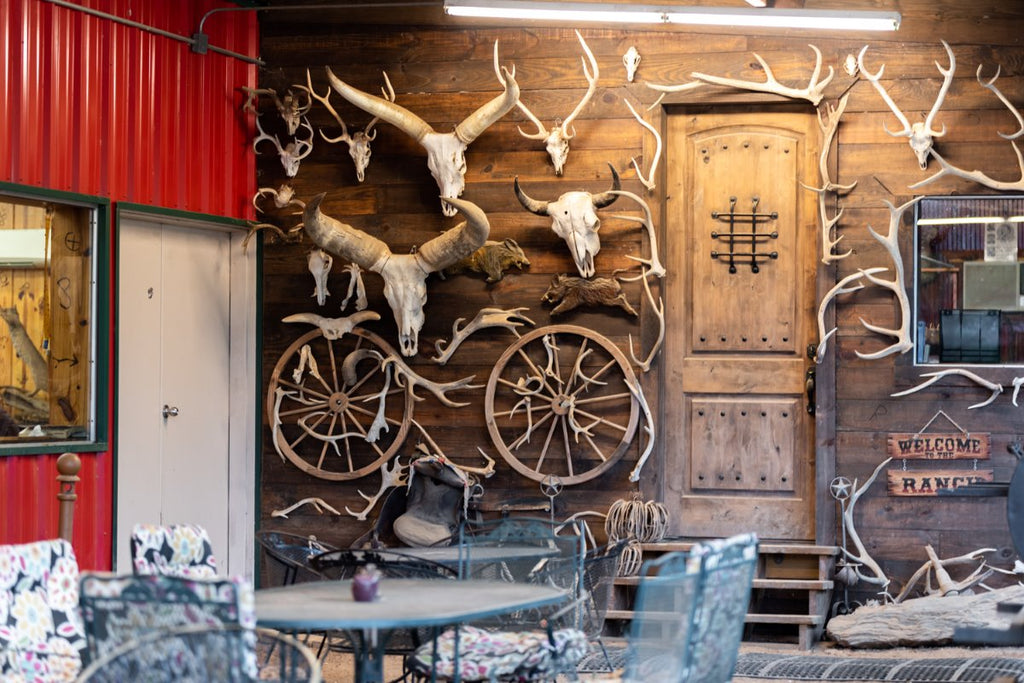 How Hunting Is An Environment-Friendly Sport?