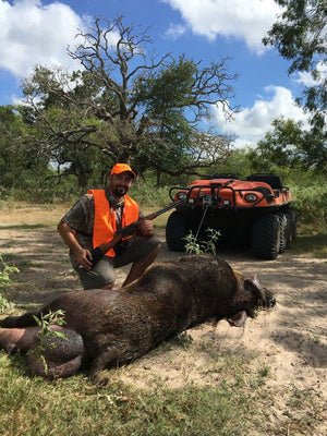 Why North Texas Hog Hunts Appeal to Hunters Who Value Structure