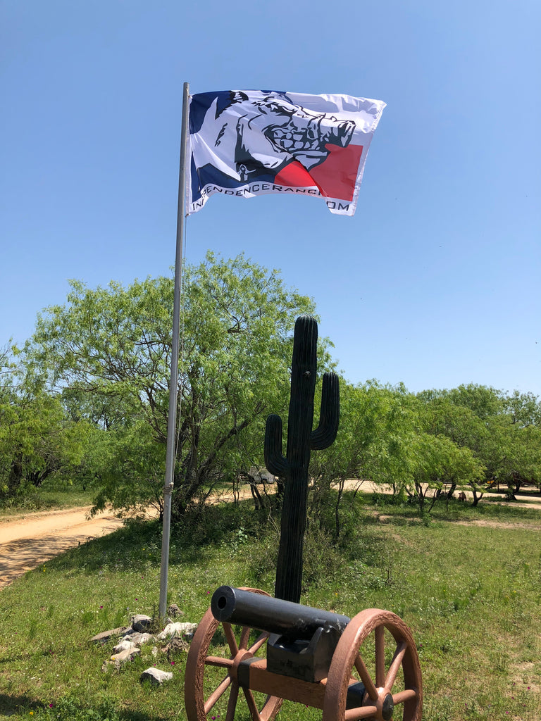 Where Are the Best Places to Hunt in Texas?