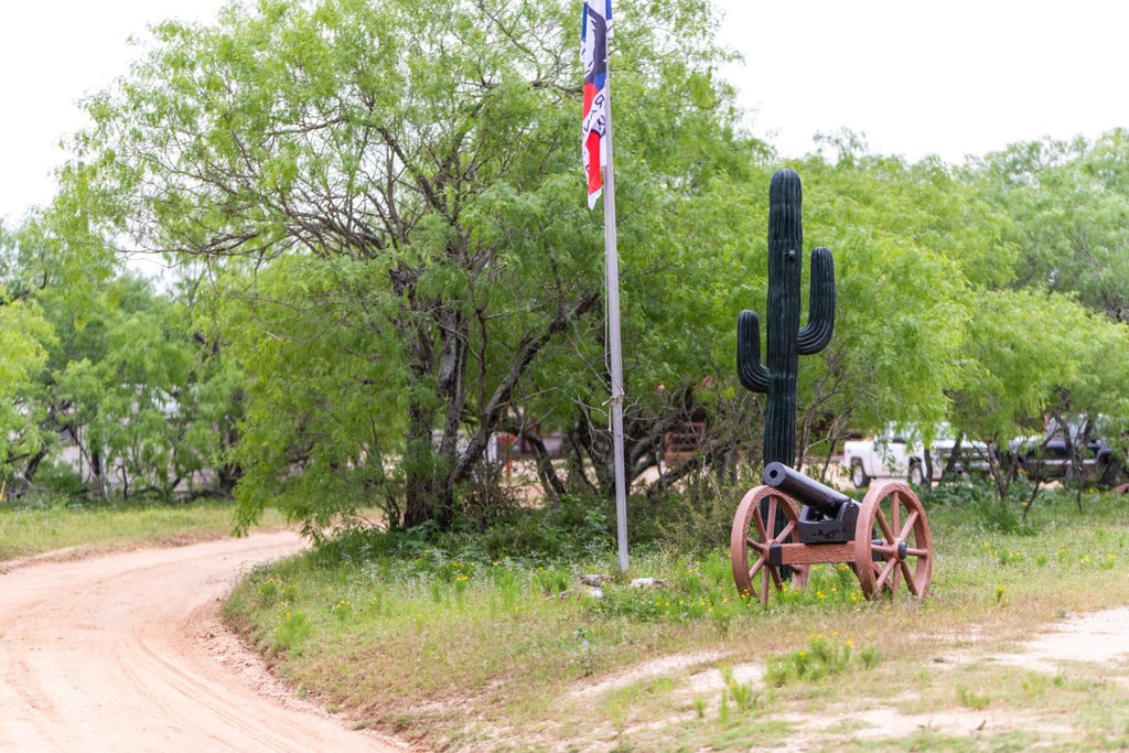 Why Are Wild Hog Hunts in Texas So Popular?