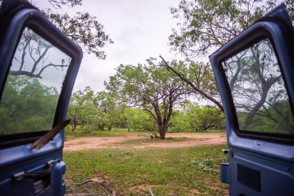 Why Guided Boar Hunts in Texas Are a Must-Try Adventure?