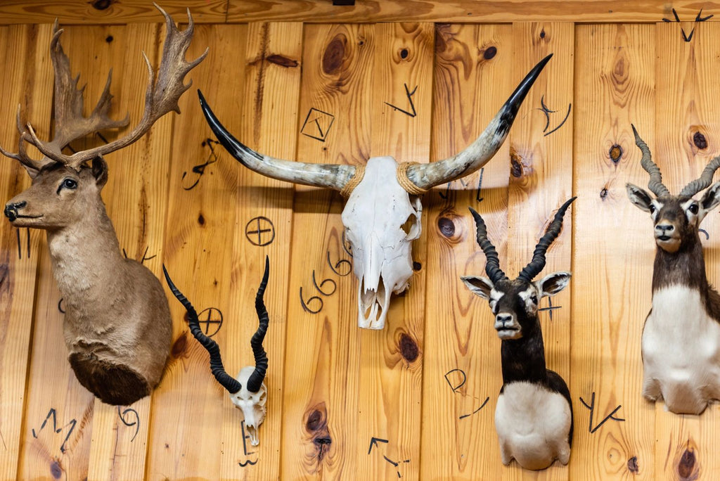 Seriously, Why Do People Hunt?