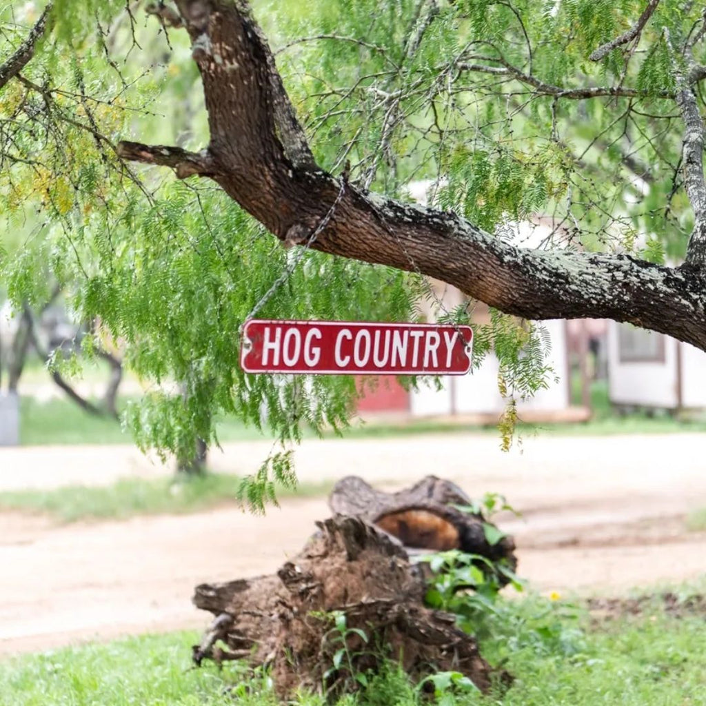 Why Is East Texas the New Hog Hunting Hotspot?