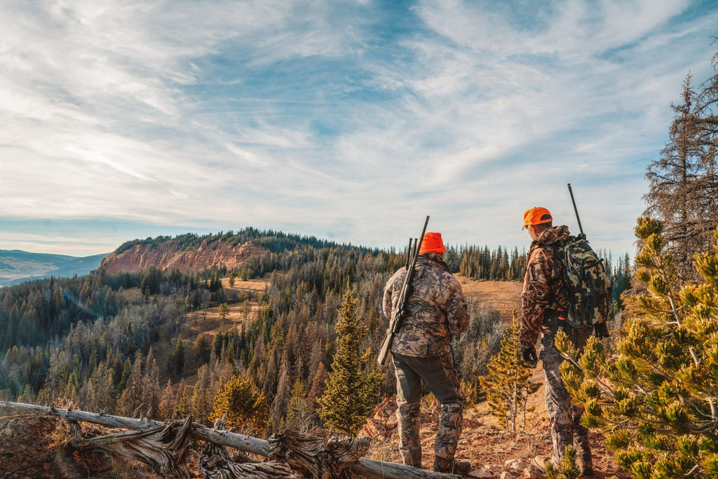 Can Air Rifles Help You Hunt Hogs And Boars? Know Here!