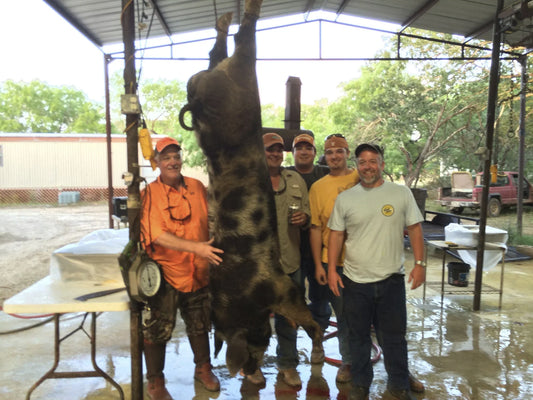 Fun Family Trip to Texas: A Family Adventure