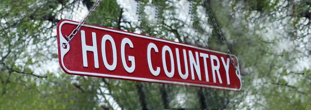 Texas Hog Hunting License Basics for First-Time East Texas Hunters