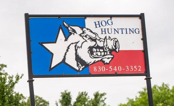 Where Should You Go for Hog Hunting Near Austin?