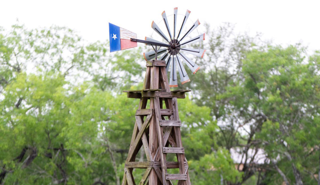 Avail The Best Cheap Wild Hog Hunts In Texas