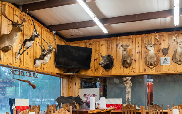 How Texas Wild Hog Hunting Rewards Smart Decision-Making?