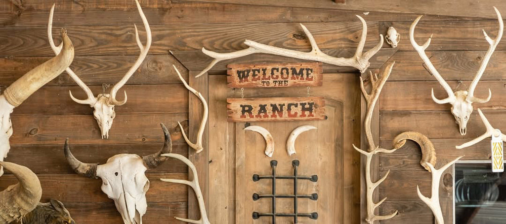 What Makes Boar Hunting Texas an Exciting Outdoor Escape?
