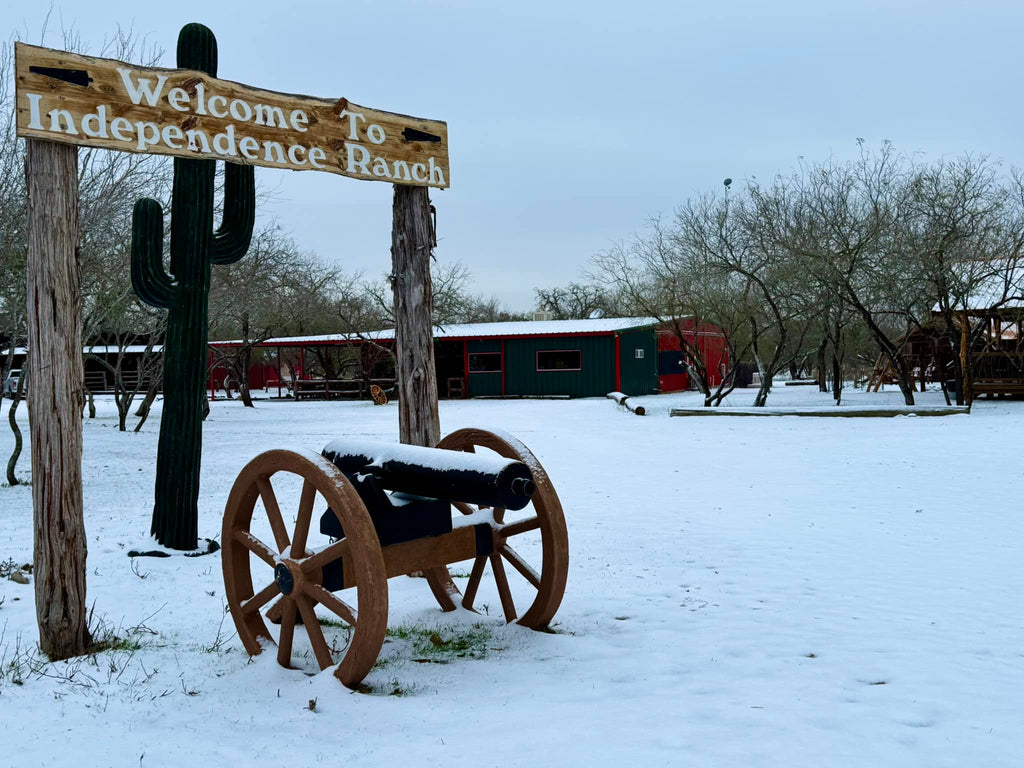 Enjoy The Best Experience Of Life: Exotic Hunting Trips