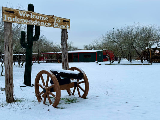 Enjoy The Best Experience Of Life: Exotic Hunting Trips