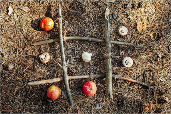 Which 9 Food Plot Shapes Can Trick Hogs For Successful Hunting?
