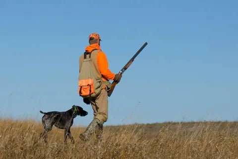 Where to Hunt Hogs in Texas for Nonstop Action – Top Regions Revealed