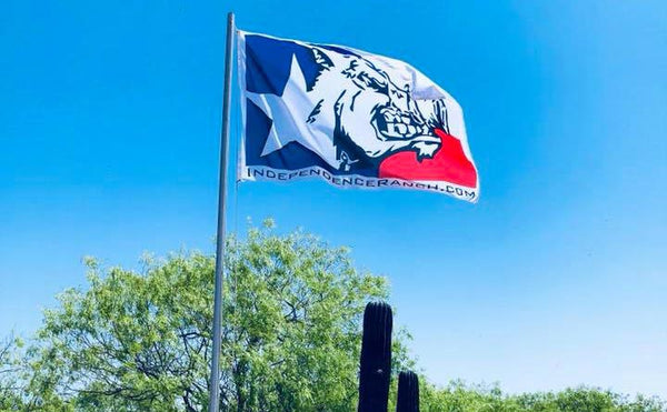 Must-know Facts About Hogs Before Going on West Texas Hog Hunting