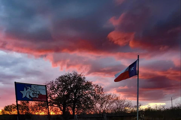 Night Hog Hunting Texas: Strategy, Options & Post Hunting Measures