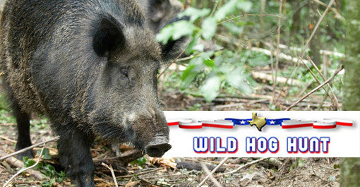 All Hunting Packages