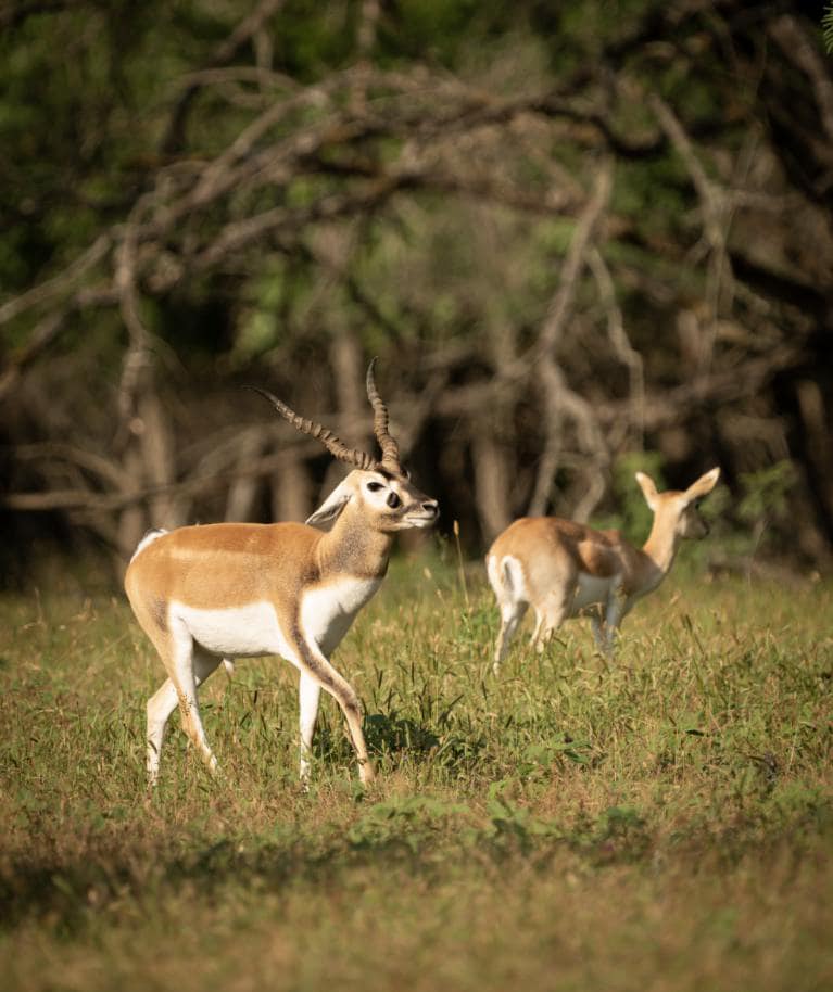 X-4: You Won the Weekly Giveaway while at the Ranch! ~ Ranch Lotto Winner