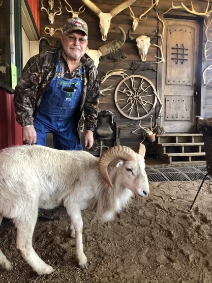 $849 All Inclusive 2 day hog hunt