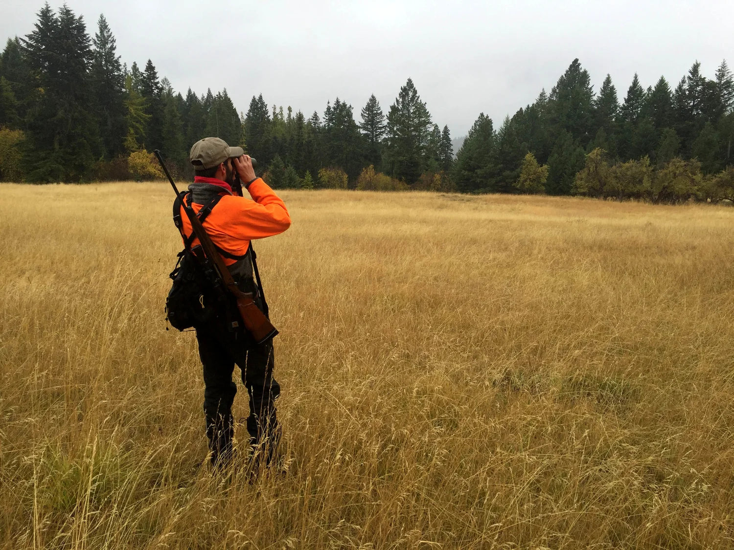 hog hunt