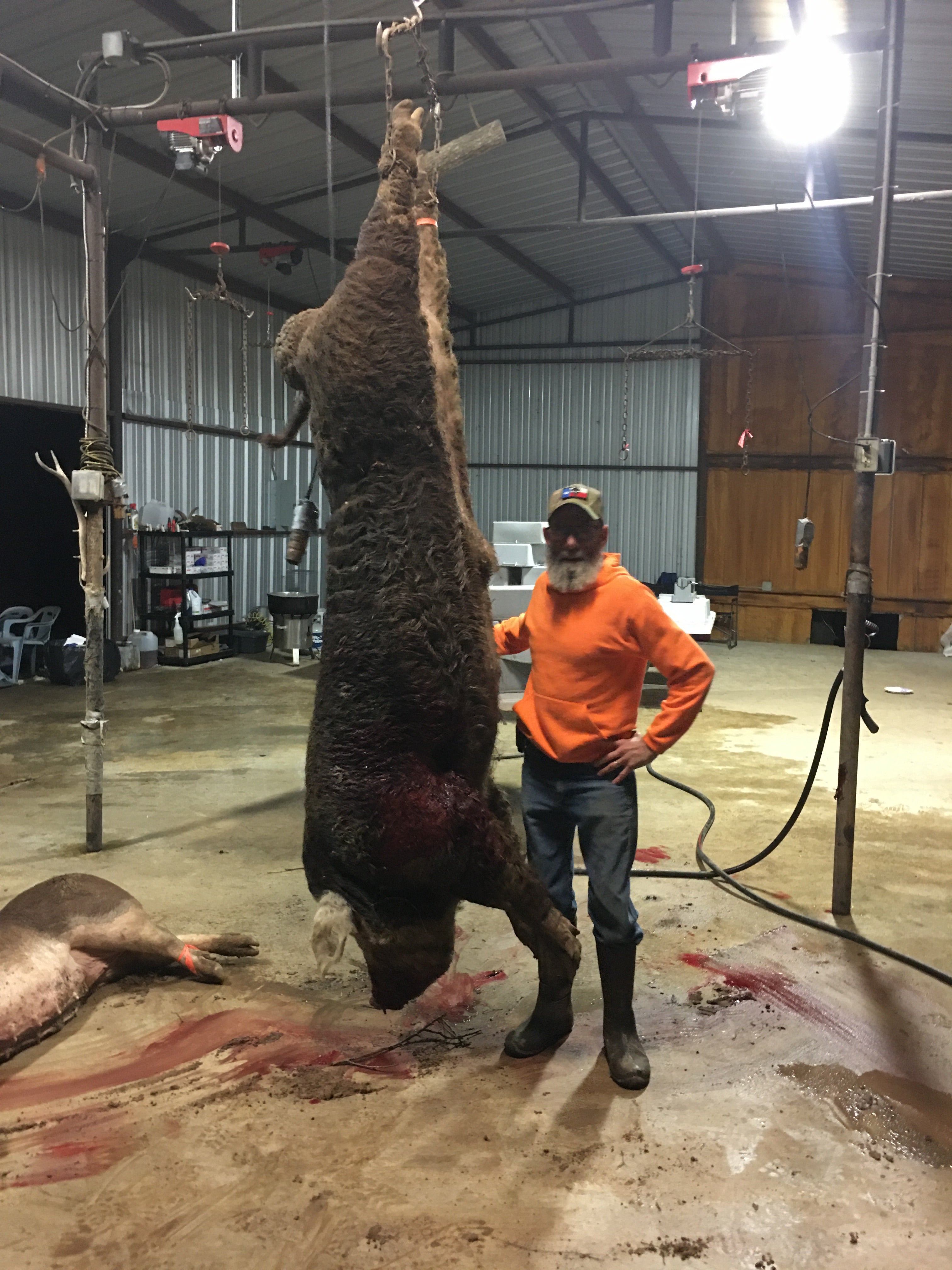 $999 Ranch Boss Hog Hunt: 1 Man- 3 days/2 nights with Free Meals/Lodging! - Independence Ranch